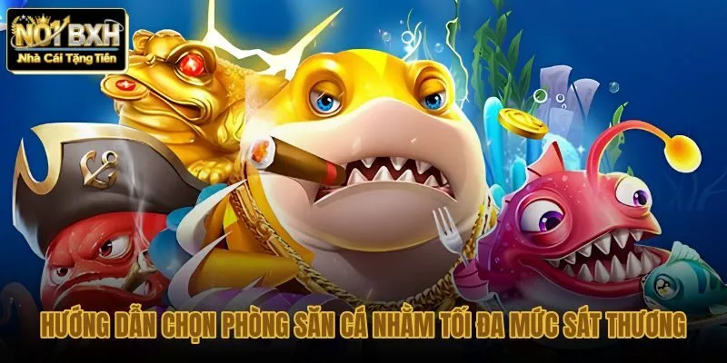 huong-dan-chon-phong-san-ca-nham-toi-da-muc-sat-thuong