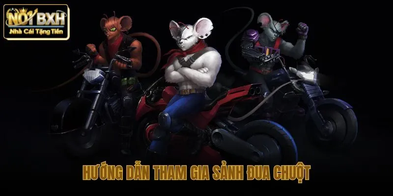 Thao tác tham gia sảnh đua chuột an toàn qua Nhacaino1