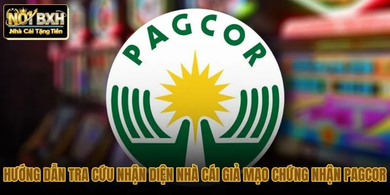 huong-dan-tra-cuu-nhan-dien-nha-cai-gia-mao-chung-nhan-pagcor