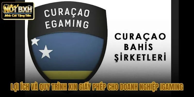 loi-ich-va-quy-trinh-xin-giay-phep-cho-doanh-nghiep-igaming