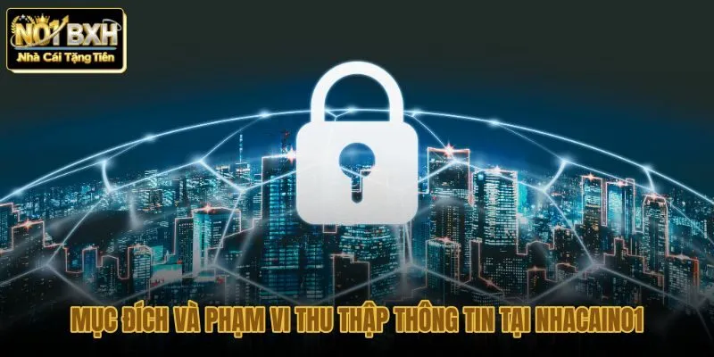 muc-dich-va-pham-vi-thu-thap-thong-tin-tai-nhacaino1