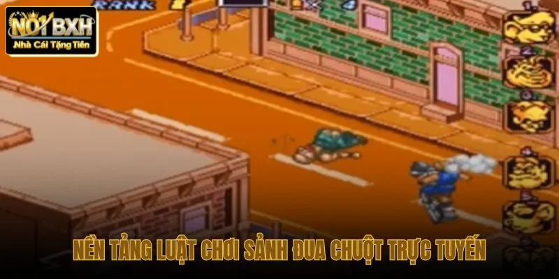 Nền tảng luật chơi đua chuột và cơ chế minh bạch