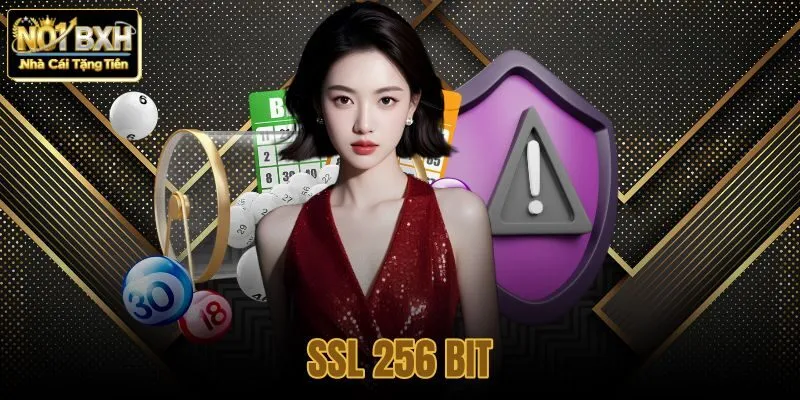 ssl 256 bit