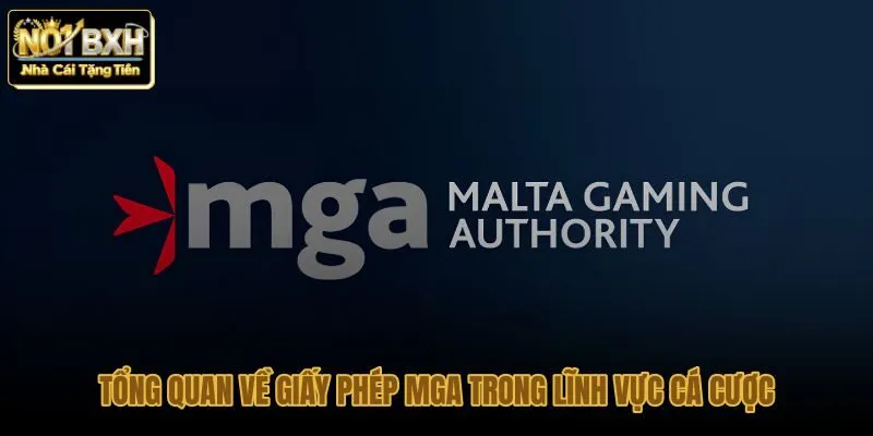 tong-quan-ve-giay-phep-mga-trong-linh-vuc-ca-cuoc