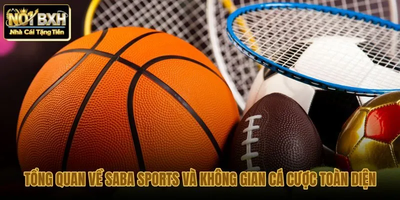 tong-quan-ve-saba-sports-va-khong-gian-ca-cuoc-toan-dien